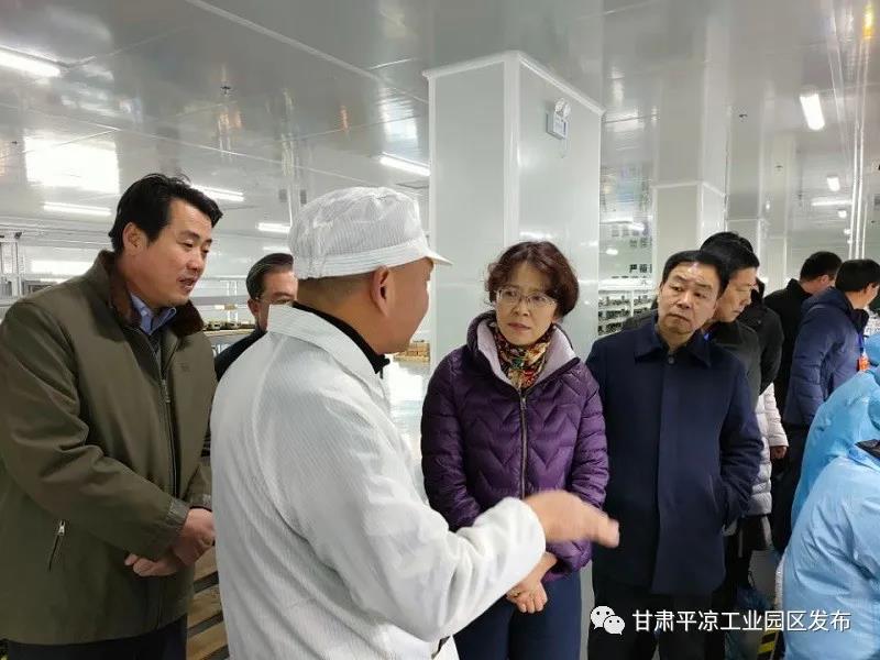 省市人大代表來(lái)平?jīng)龉I(yè)園區視察(圖2) 省市人大代表來(lái)平?jīng)龉I(yè)園區視察(圖2)